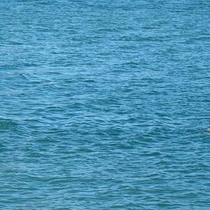 Fotoğraf Marc Recha