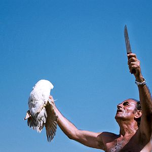 Fotoğraf Richard Bohringer