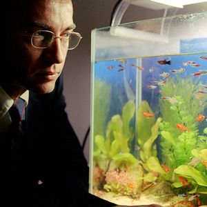 Fotoğraf Gizemli Yolculuk