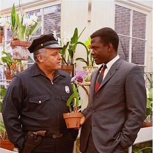 Fotoğraf Gecenin Sıcağında