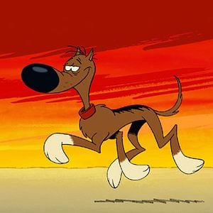 Fotoğraf Rantanplan