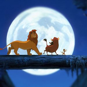 Fotoğraf Aslan Kral