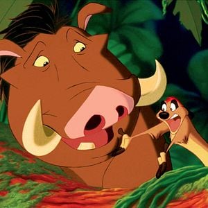 Fotoğraf Aslan Kral