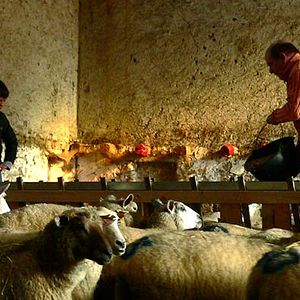 Fotoğraf Jean-François Stévenin