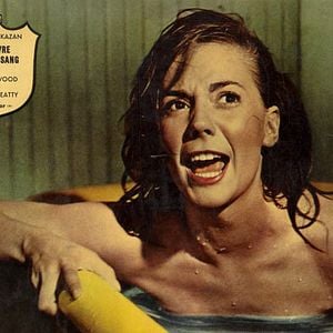 Fotoğraf Splendor in the Grass