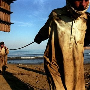 Fotoğraf Workingman's Death