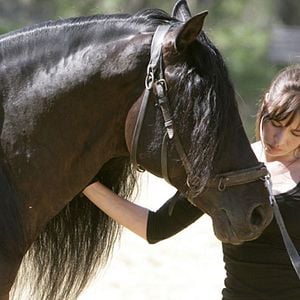 Fotoğraf Mathilde Seigner