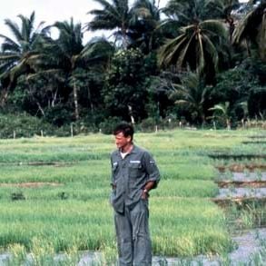 Fotoğraf Robin Williams