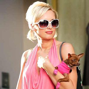 Fotoğraf Epic Movie