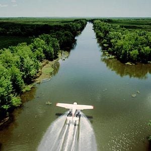 Fotoğraf Greg MacGillivray