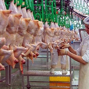 Fotoğraf Nikolaus Geyrhalter