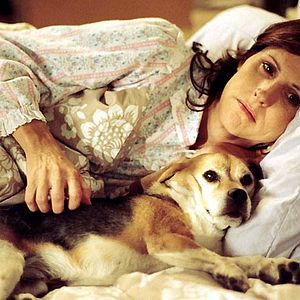 Fotoğraf Molly Shannon