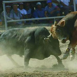 Fotoğraf Yüksel Aksu