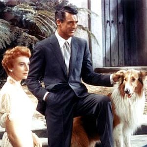 Fotoğraf Deborah Kerr