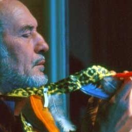 Fotoğraf Patrick Bauchau