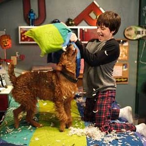 Fotoğraf Firehouse Dog