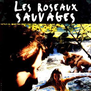 Fotoğraf Wild Reeds