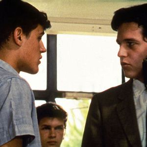 Fotoğraf Wild Reeds