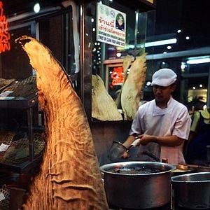 Fotoğraf Rob Stewart