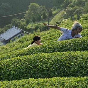 Fotoğraf Machiko Ono