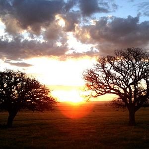 Fotoğraf Carlos Reygadas