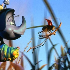 Fotoğraf Bir Böceğin Yaşamı