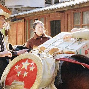 Fotoğraf Baotian Li