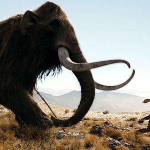 Fotoğraf M.Ö. 10.000