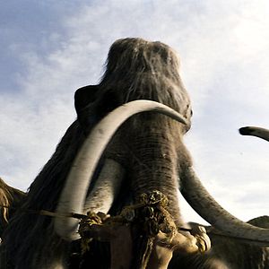 Fotoğraf M.Ö. 10.000