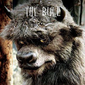 Fotoğraf Spike Jonze