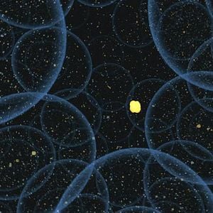 Fotoğraf Ne @#!* Biliyoruz Ki!?