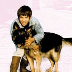 Fotoğraf Sébastien et la Mary-Morgane