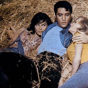 Fotoğraf Elvis Presley