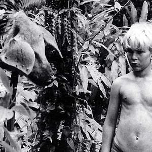 Fotoğraf Sineklerin Tanrısı