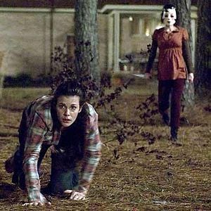 Fotoğraf Ziyaretçiler