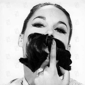 Fotoğraf Shot in the Dark, A