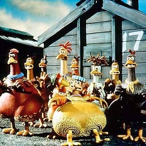 Fotoğraf Tavuklar Firarda