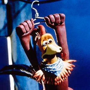 Fotoğraf Tavuklar Firarda