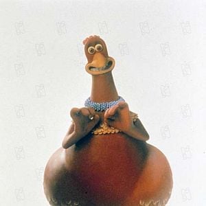 Fotoğraf Tavuklar Firarda