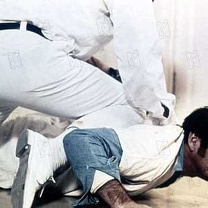 Fotoğraf Guguk Kuşu