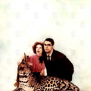 Fotoğraf Howard Hawks