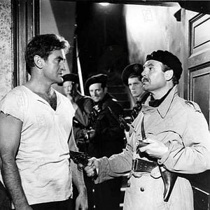 Fotoğraf Rod Taylor