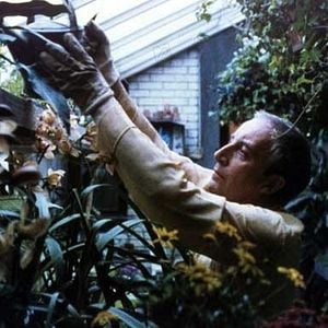 Fotoğraf Being There