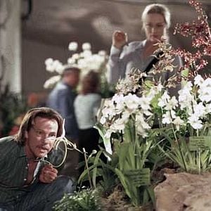 Fotoğraf Spike Jonze