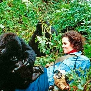 Fotoğraf Gorillas In the Mist : The Story of Dian Fossey