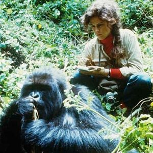 Fotoğraf Gorillas In the Mist : The Story of Dian Fossey