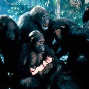 Fotoğraf Hugh Hudson