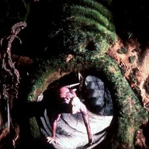 Fotoğraf Peter Greenaway