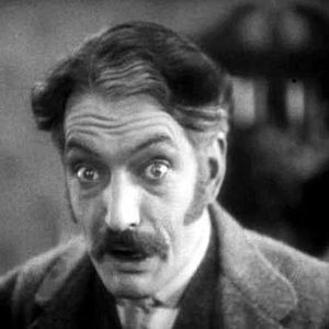 Fotoğraf The Farmer's Wife