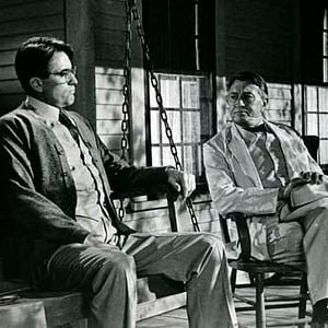 Fotoğraf Bülbülü Öldürmek